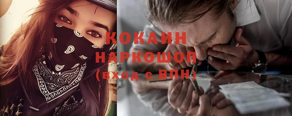 альфа пвп Горнозаводск