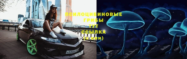 крисы Горно-Алтайск
