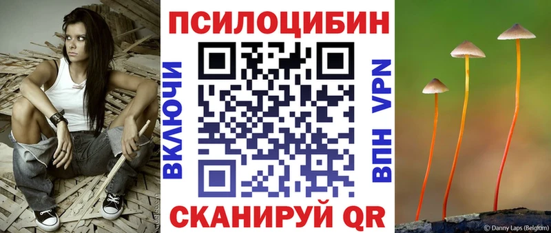 цены   Дмитровск  ОМГ ОМГ как зайти  Псилоцибиновые грибы Cubensis 